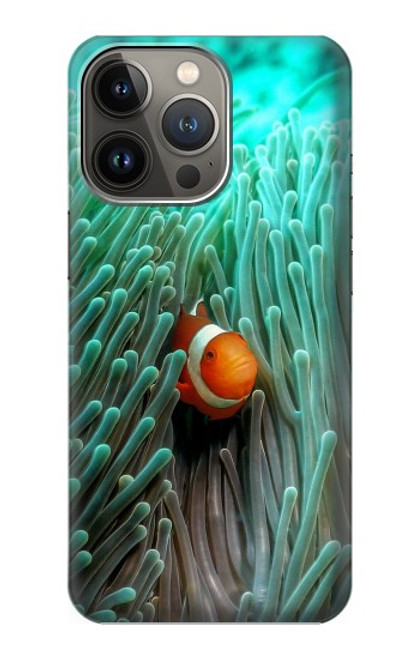 W3893 Ocellaris clownfish Hard Case and Leather Flip Case For iPhone 14 Pro Max