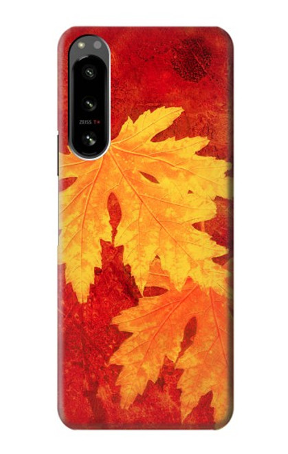 W0479 Maple Leaf Hard Case and Leather Flip Case For Sony Xperia 5 IV