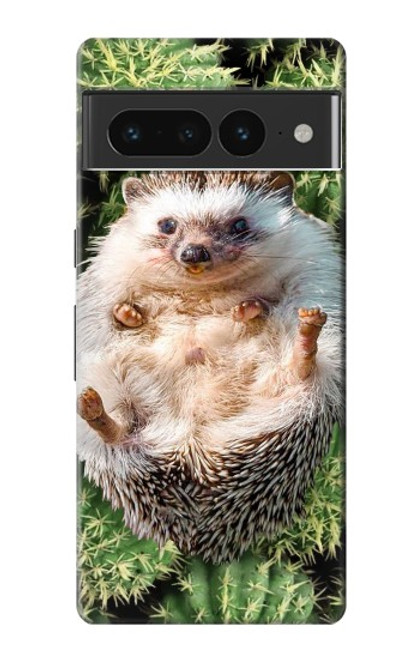 W3863 Pygmy Hedgehog Dwarf Hedgehog Paint Hard Case and Leather Flip Case For Google Pixel 7 Pro