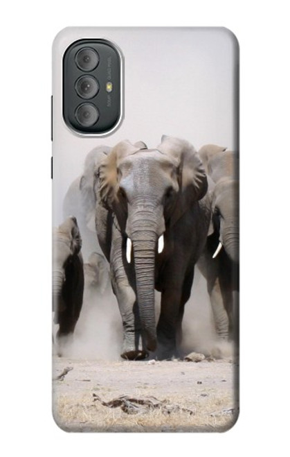 W3142 African Elephant Hard Case and Leather Flip Case For Motorola Moto G Power 2022, G Play 2023