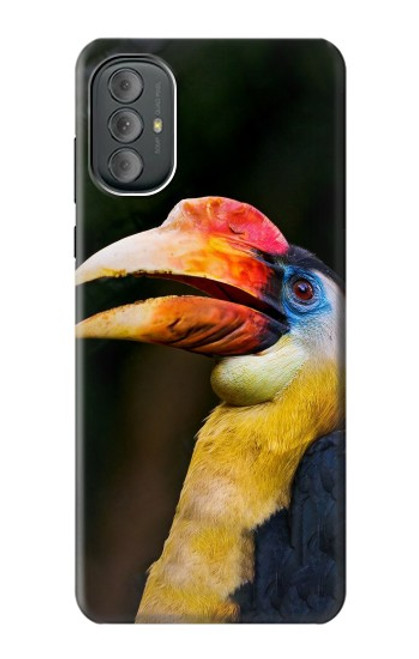 W3876 Colorful Hornbill Hard Case and Leather Flip Case For Motorola Moto G Power 2022, G Play 2023