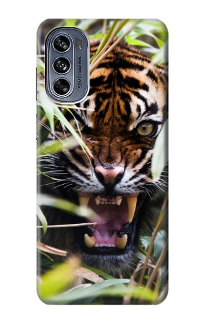 W3838 Barking Bengal Tiger Hard Case and Leather Flip Case For Motorola Moto G62 5G
