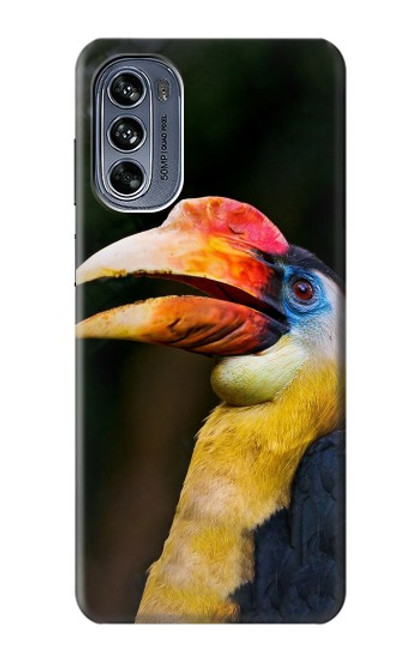 W3876 Colorful Hornbill Hard Case and Leather Flip Case For Motorola Moto G62 5G