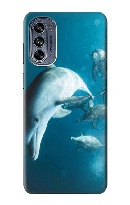 W3878 Dolphin Hard Case and Leather Flip Case For Motorola Moto G62 5G