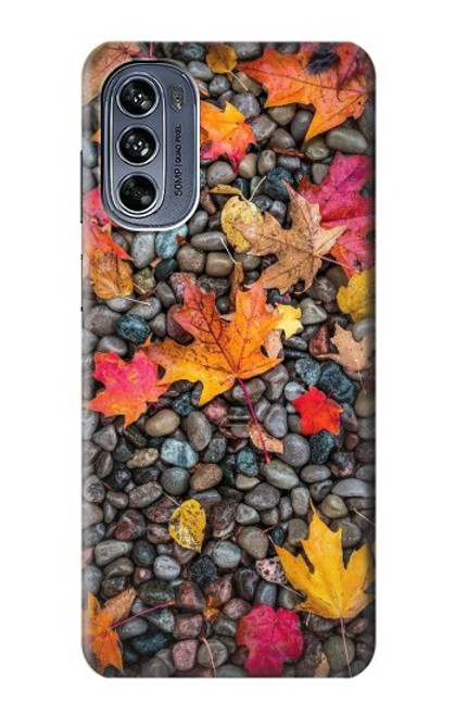 W3889 Maple Leaf Hard Case and Leather Flip Case For Motorola Moto G62 5G