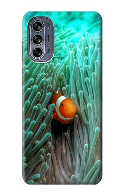 W3893 Ocellaris clownfish Hard Case and Leather Flip Case For Motorola Moto G62 5G