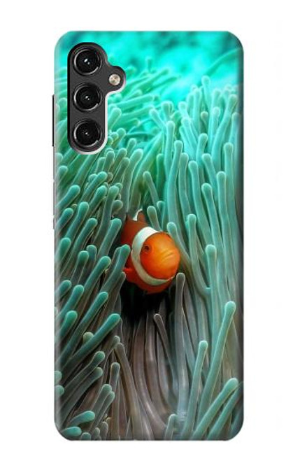 W3893 Ocellaris clownfish Hard Case and Leather Flip Case For Samsung Galaxy A14 5G