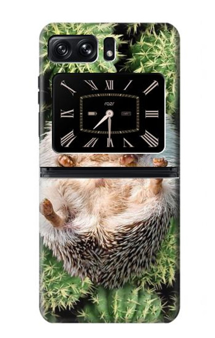 W3863 Pygmy Hedgehog Dwarf Hedgehog Paint Hard Case and Leather Flip Case For Motorola Moto Razr 2022