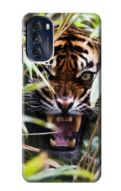 W3838 Barking Bengal Tiger Hard Case and Leather Flip Case For Motorola Moto G 5G (2023)