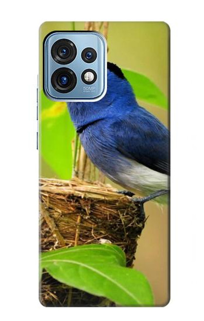 W3839 Bluebird of Happiness Blue Bird Hard Case and Leather Flip Case For Motorola Edge+ (2023), X40, X40 Pro, Edge 40 Pro