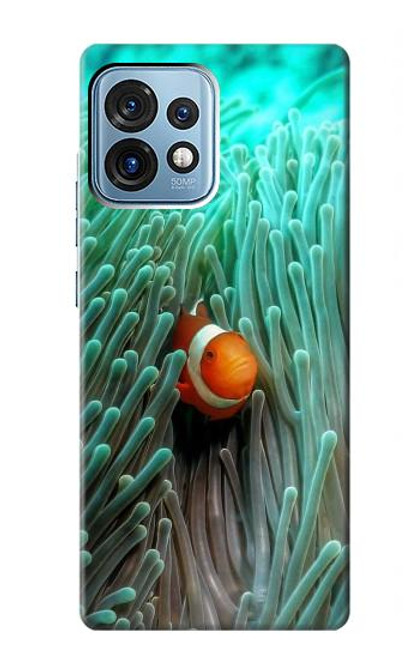 W3893 Ocellaris clownfish Hard Case and Leather Flip Case For Motorola Edge+ (2023), X40, X40 Pro, Edge 40 Pro