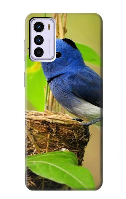 W3839 Bluebird of Happiness Blue Bird Hard Case and Leather Flip Case For Motorola Moto G42