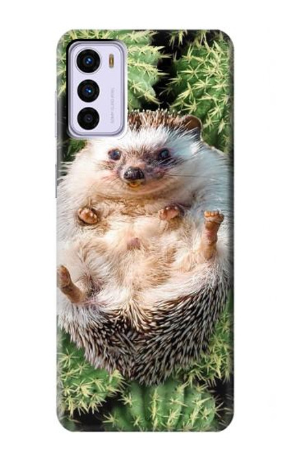 W3863 Pygmy Hedgehog Dwarf Hedgehog Paint Hard Case and Leather Flip Case For Motorola Moto G42