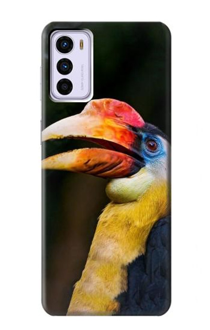 W3876 Colorful Hornbill Hard Case and Leather Flip Case For Motorola Moto G42
