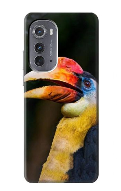 W3876 Colorful Hornbill Hard Case and Leather Flip Case For Motorola Edge (2022)