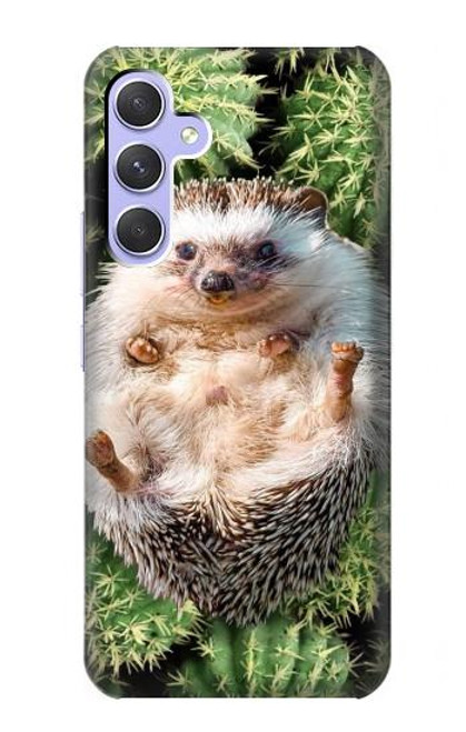 W3863 Pygmy Hedgehog Dwarf Hedgehog Paint Hard Case and Leather Flip Case For Samsung Galaxy A54 5G