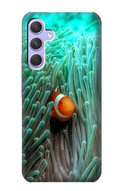 W3893 Ocellaris clownfish Hard Case and Leather Flip Case For Samsung Galaxy A54 5G