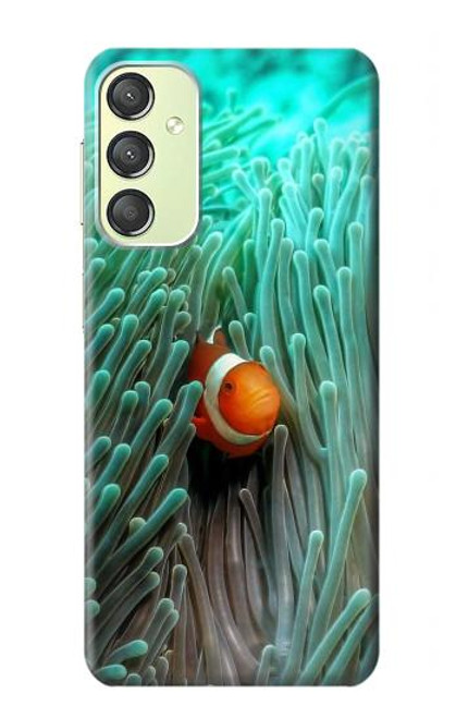 W3893 Ocellaris clownfish Hard Case and Leather Flip Case For Samsung Galaxy A24 4G