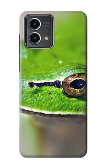 W3845 Green frog Hard Case and Leather Flip Case For Motorola Moto G Stylus 5G (2023)