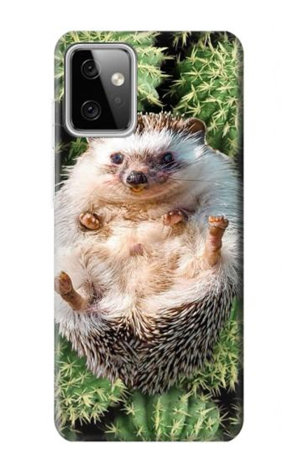 W3863 Pygmy Hedgehog Dwarf Hedgehog Paint Hard Case and Leather Flip Case For Motorola Moto G Power (2023) 5G