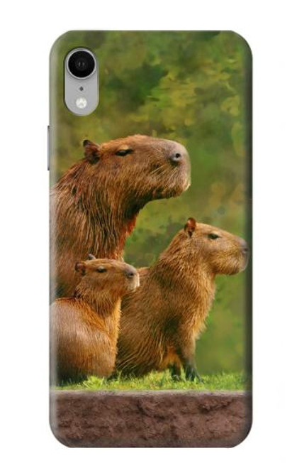 W3917 Capybara Family Giant Guinea Pig Hard Case and Leather Flip Case For iPhone XR
