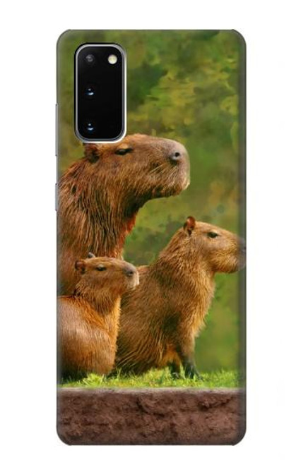 W3917 Capybara Family Giant Guinea Pig Hard Case and Leather Flip Case For Samsung Galaxy S20