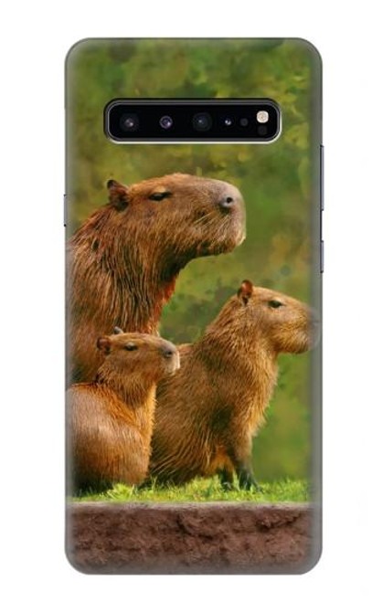 W3917 Capybara Family Giant Guinea Pig Hard Case and Leather Flip Case For Samsung Galaxy S10 5G