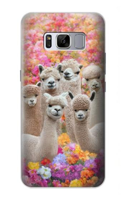 W3916 Alpaca Family Baby Alpaca Hard Case and Leather Flip Case For Samsung Galaxy S8 Plus