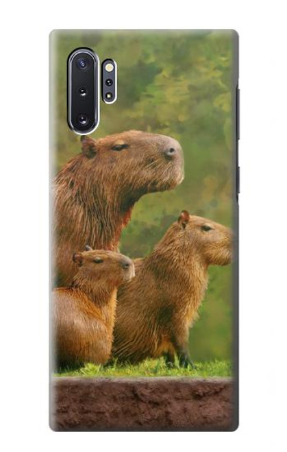 W3917 Capybara Family Giant Guinea Pig Hard Case and Leather Flip Case For Samsung Galaxy Note 10 Plus