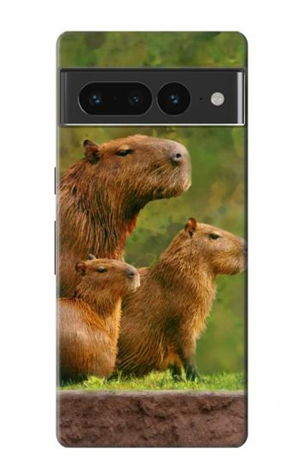 W3917 Capybara Family Giant Guinea Pig Hard Case and Leather Flip Case For Google Pixel 7 Pro