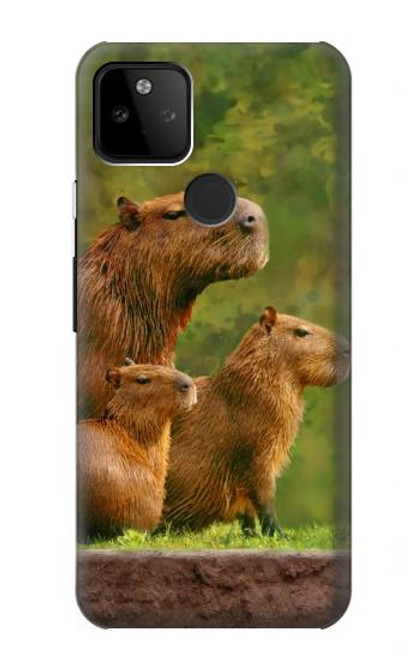 W3917 Capybara Family Giant Guinea Pig Hard Case and Leather Flip Case For Google Pixel 5A 5G