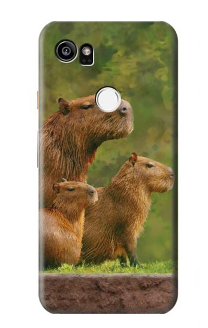 W3917 Capybara Family Giant Guinea Pig Hard Case and Leather Flip Case For Google Pixel 2 XL