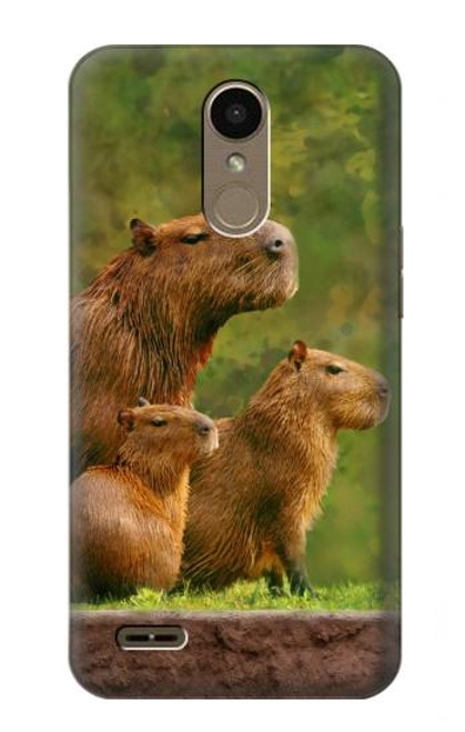 W3917 Capybara Family Giant Guinea Pig Hard Case and Leather Flip Case For LG K10 (2018), LG K30