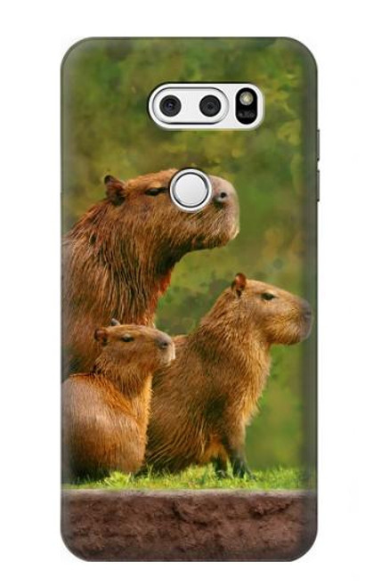 W3917 Capybara Family Giant Guinea Pig Hard Case and Leather Flip Case For LG V30, LG V30 Plus, LG V30S ThinQ, LG V35, LG V35 ThinQ