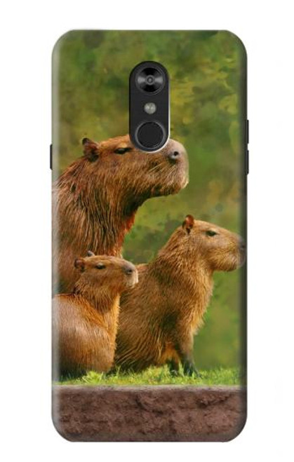 W3917 Capybara Family Giant Guinea Pig Hard Case and Leather Flip Case For LG Q Stylo 4, LG Q Stylus
