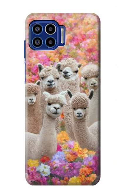 W3916 Alpaca Family Baby Alpaca Hard Case and Leather Flip Case For Motorola One 5G