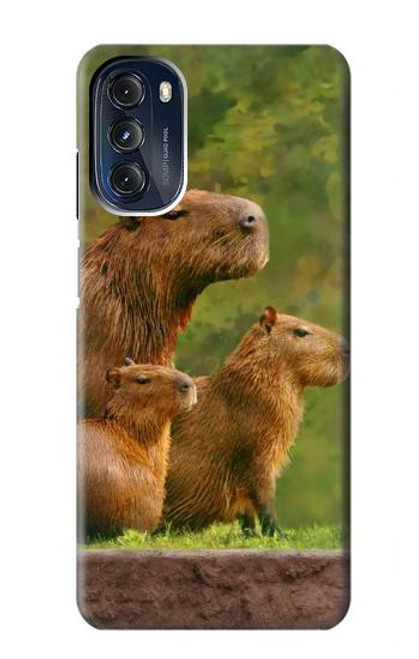 W3917 Capybara Family Giant Guinea Pig Hard Case and Leather Flip Case For Motorola Moto G 5G (2023)