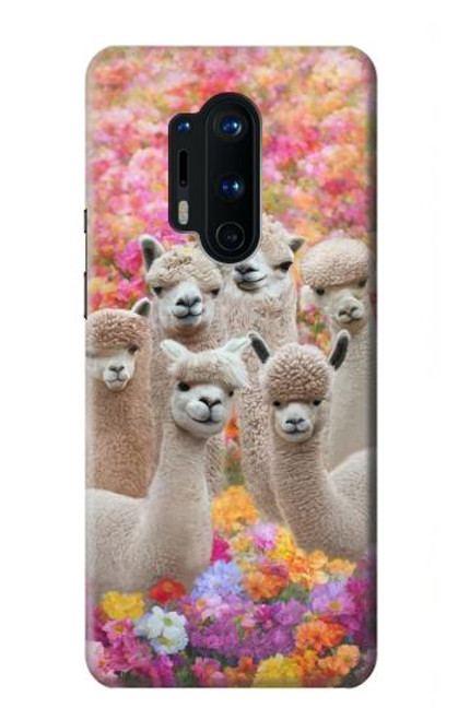 W3916 Alpaca Family Baby Alpaca Hard Case and Leather Flip Case For OnePlus 8 Pro