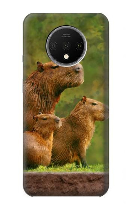 W3917 Capybara Family Giant Guinea Pig Hard Case and Leather Flip Case For OnePlus 7T