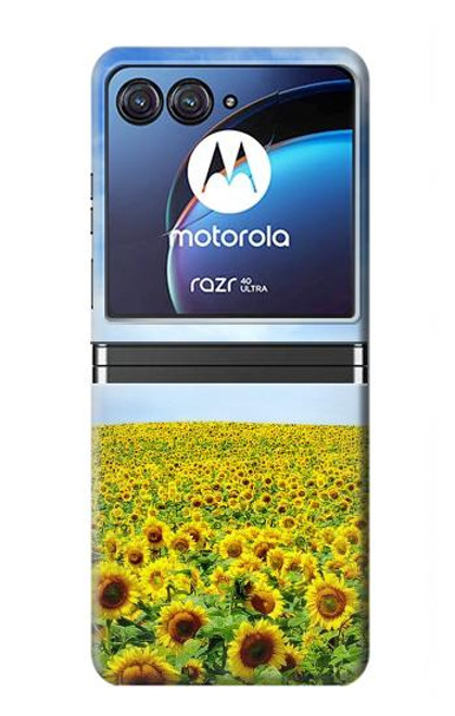 W0232 Sunflower Hard Case For Motorola Razr 40 Ultra