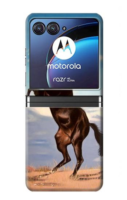 W0934 Wild Black Horse Hard Case For Motorola Razr 40 Ultra