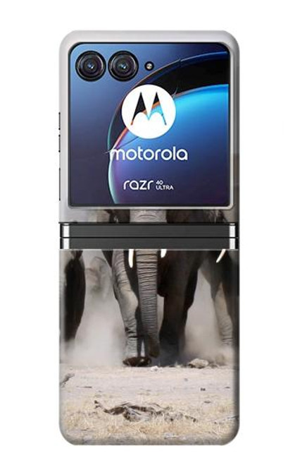 W3142 African Elephant Hard Case For Motorola Razr 40 Ultra