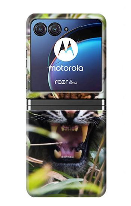 W3838 Barking Bengal Tiger Hard Case For Motorola Razr 40 Ultra