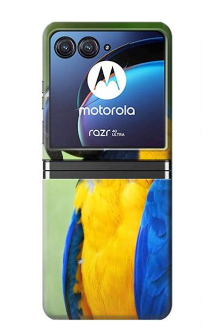 W3888 Macaw Face Bird Hard Case For Motorola Razr 40 Ultra