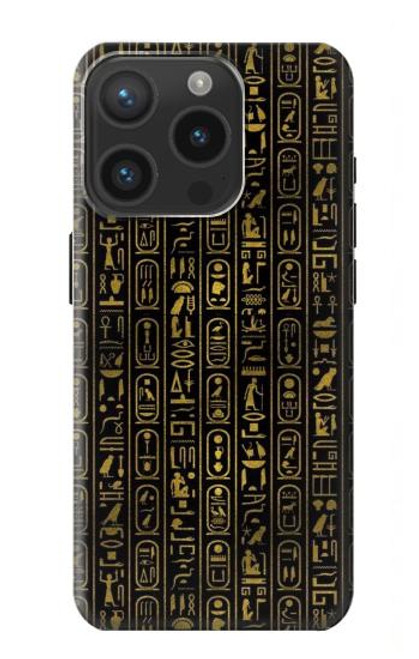 W3869 Ancient Egyptian Hieroglyphic Hard Case and Leather Flip Case For iPhone 15 Pro