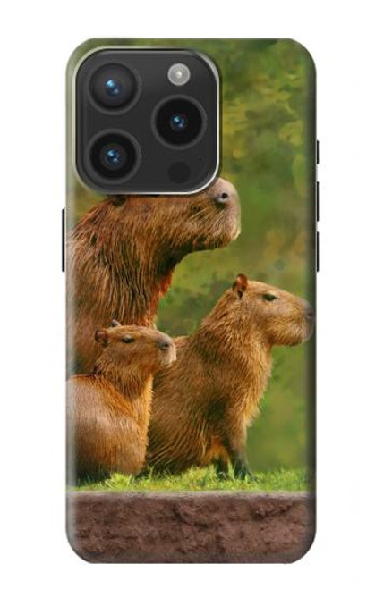 W3917 Capybara Family Giant Guinea Pig Hard Case and Leather Flip Case For iPhone 15 Pro