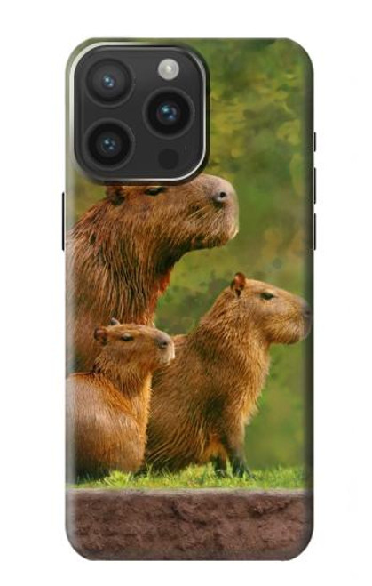 W3917 Capybara Family Giant Guinea Pig Hard Case and Leather Flip Case For iPhone 15 Pro Max