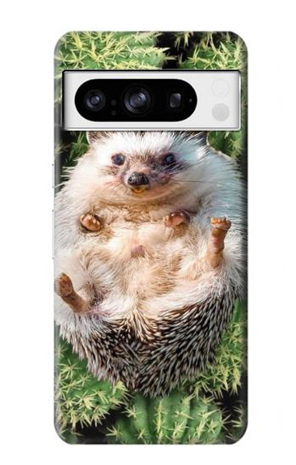 W3863 Pygmy Hedgehog Dwarf Hedgehog Paint Hard Case and Leather Flip Case For Google Pixel 8 pro