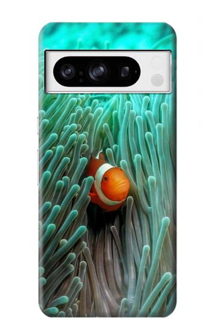 W3893 Ocellaris clownfish Hard Case and Leather Flip Case For Google Pixel 8 pro