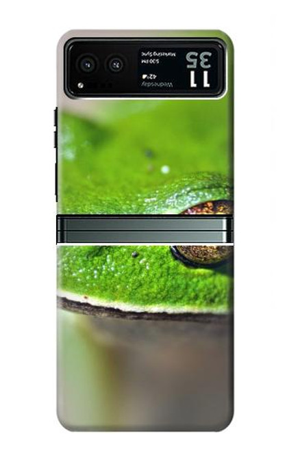 W3845 Green frog Hard Case and Leather Flip Case For Motorola Razr 40